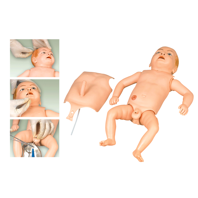 ߼냺o(h)ģ
