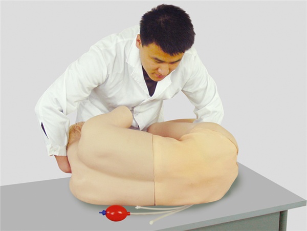 腰椎穿刺仿真標準化病人 腰椎穿刺仿真標準化病人